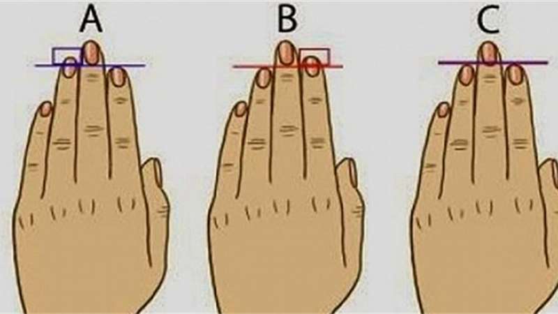 Délka prstů u ruky prozradí vaši povahu. Co říká o vás?