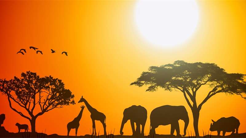 Africký horoskop: Co o vás prozradí nejpřesnější astrologický průvodce? | Zdroj:  iStock
