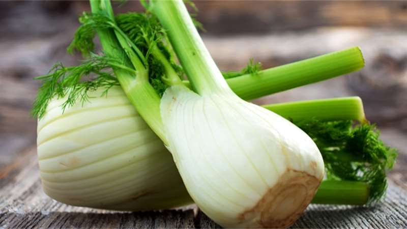 Fenykl je báječná zelenina, skvělá pro trávení, srdce i ženy v menopauze