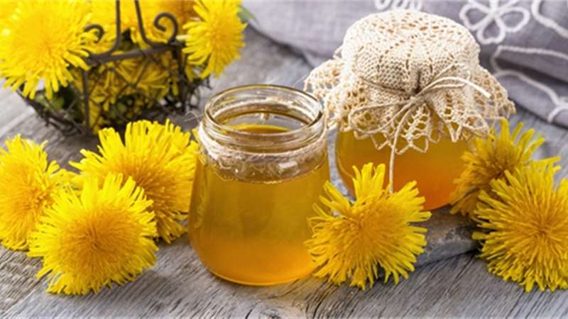 Vyrobte si pampeliškový med. Oceníte ho při kašli i nachlazení